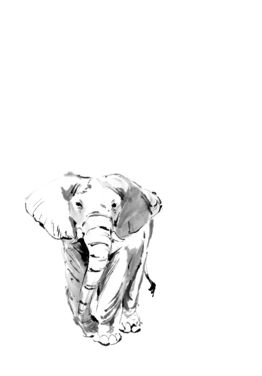 The Tiger Won