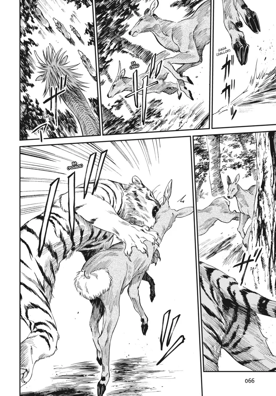The Tiger Won