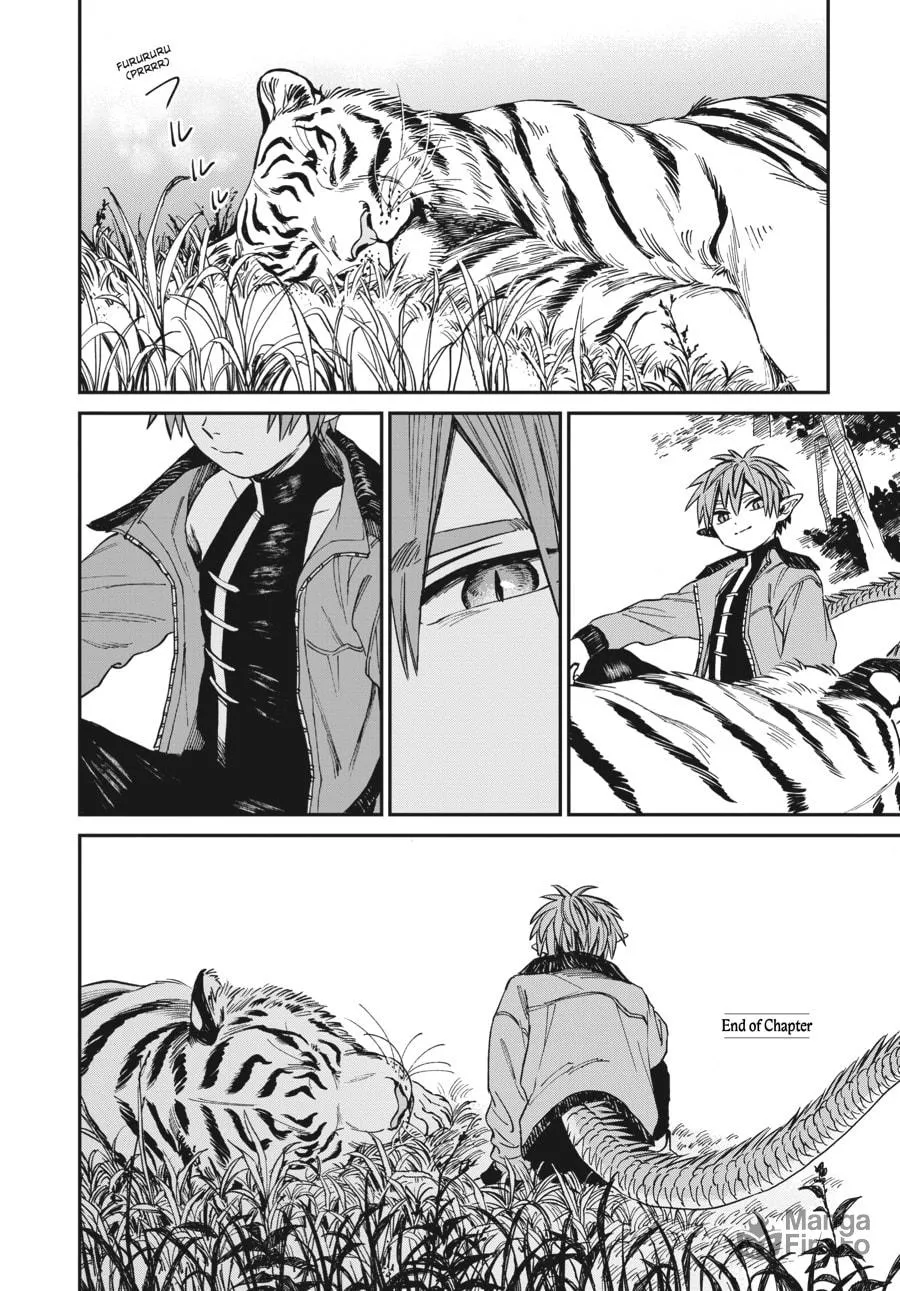 The Tiger Won