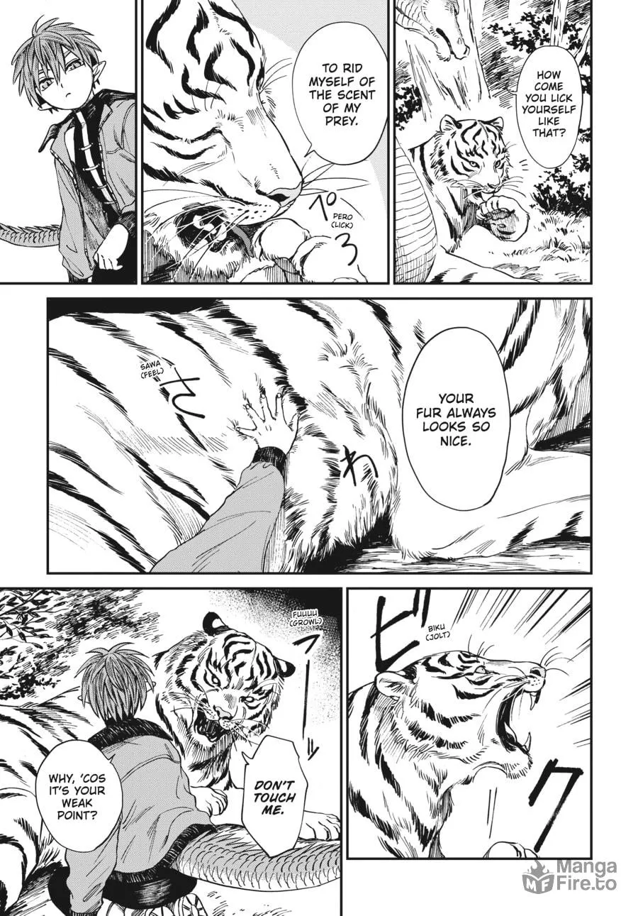 The Tiger Won