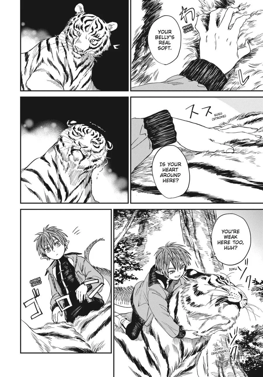 The Tiger Won