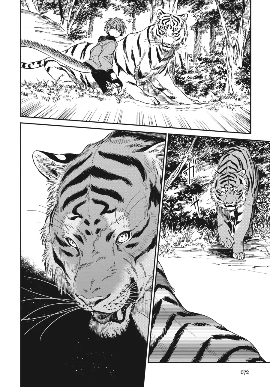 The Tiger Won