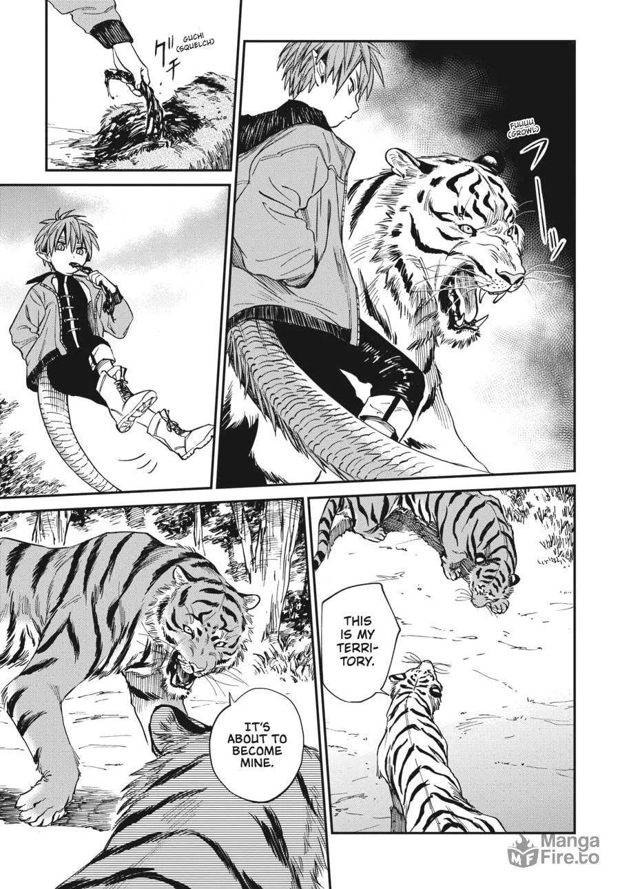 The Tiger Won