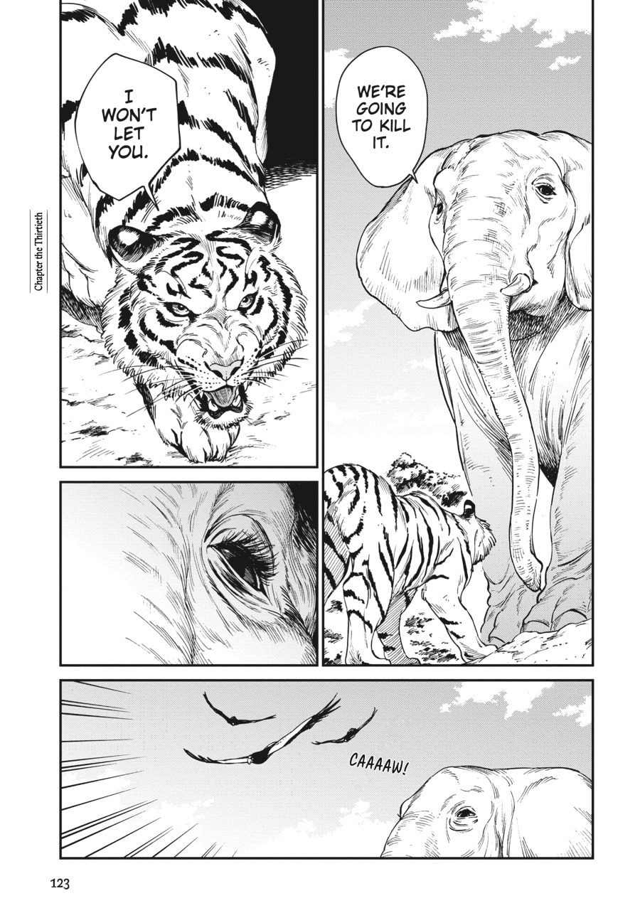 The Tiger Won