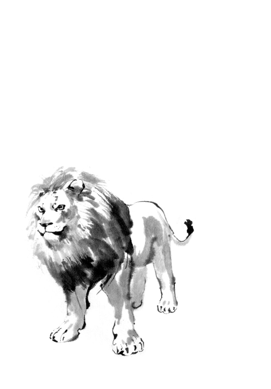 The Tiger Won