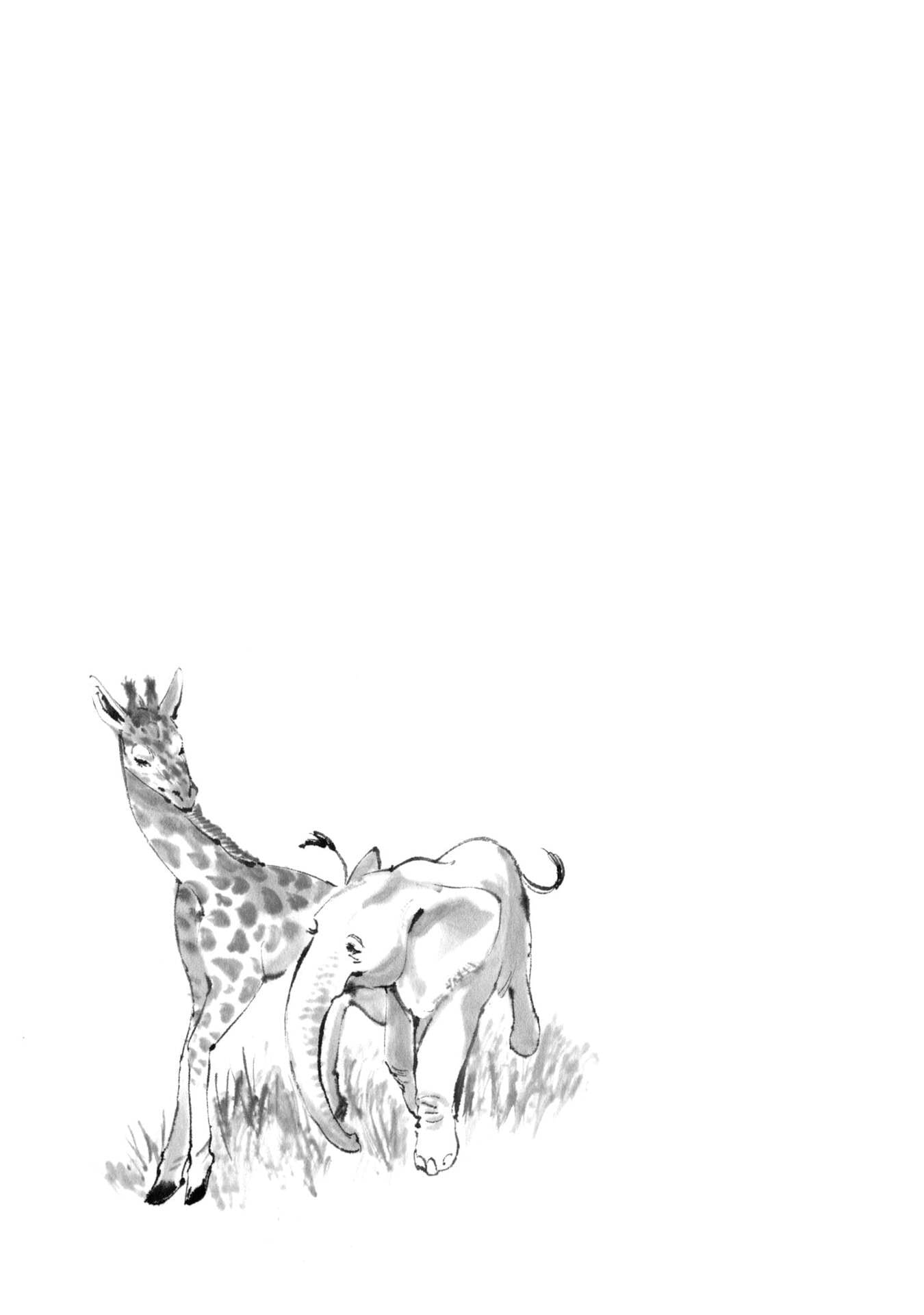 The Tiger Won