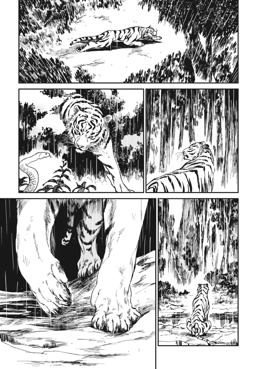 The Tiger Won