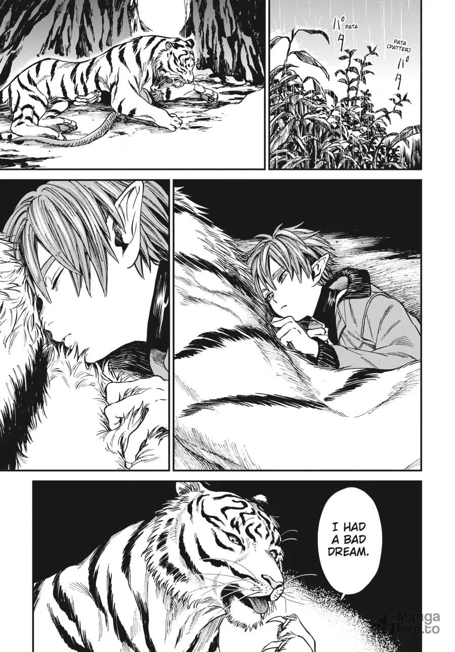 The Tiger Won