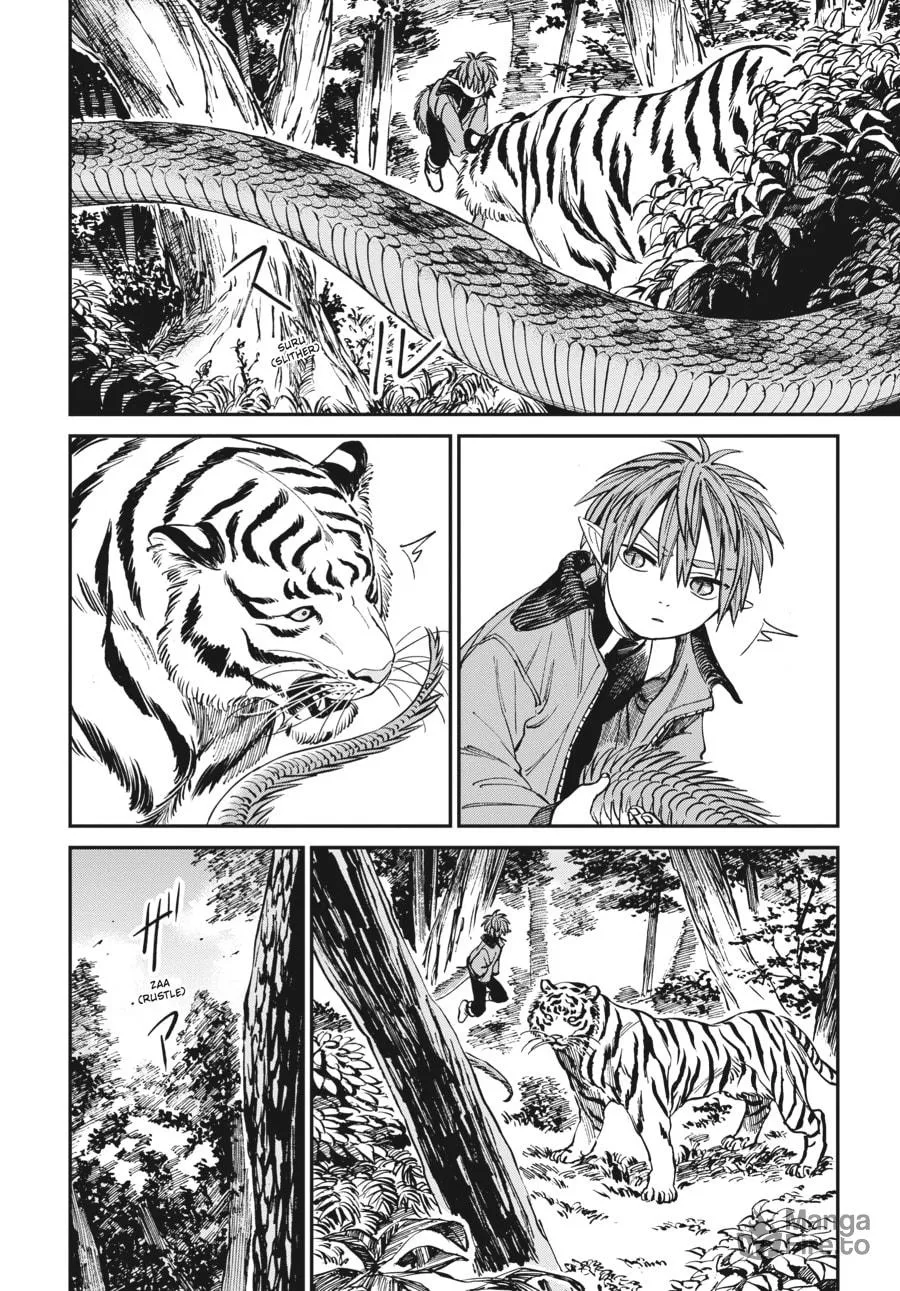 The Tiger Won