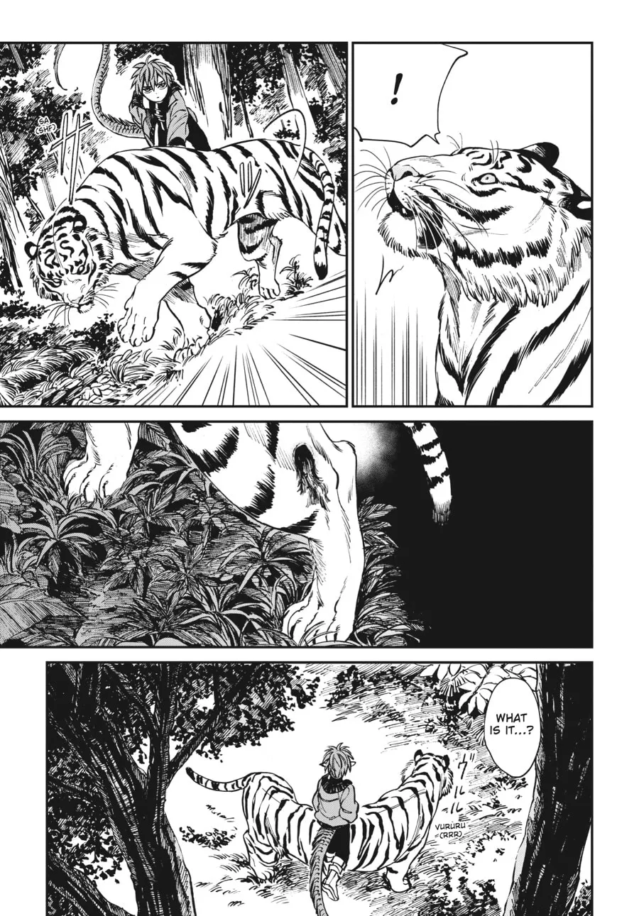 The Tiger Won