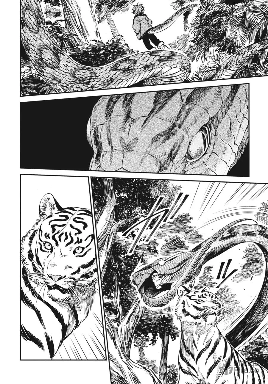 The Tiger Won