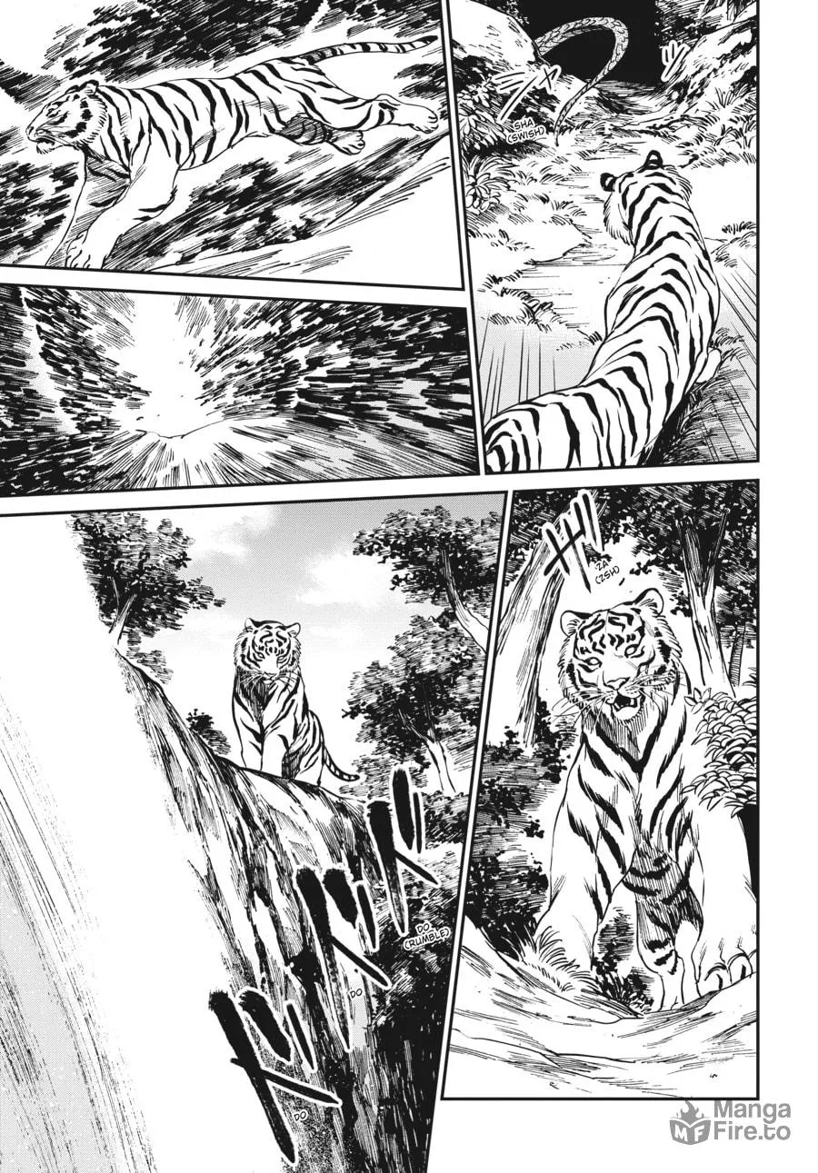 The Tiger Won