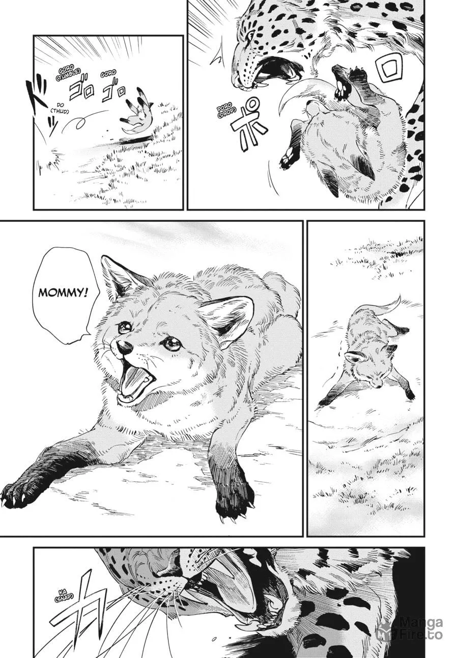 The Tiger Won