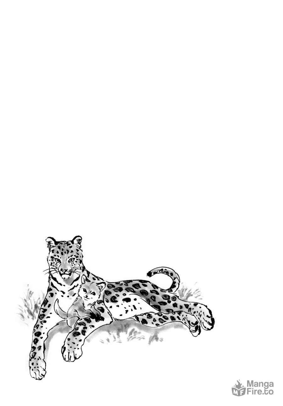 The Tiger Won