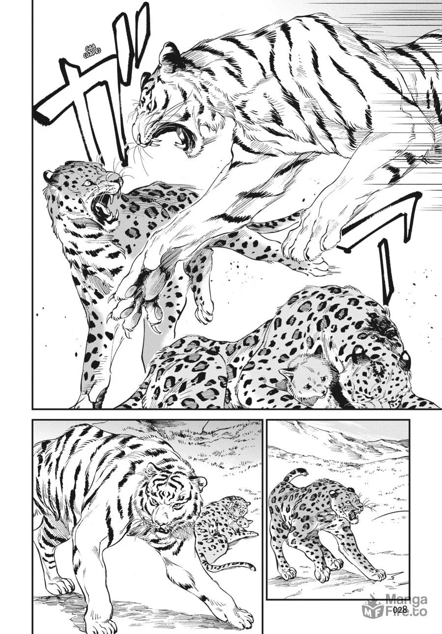 The Tiger Won