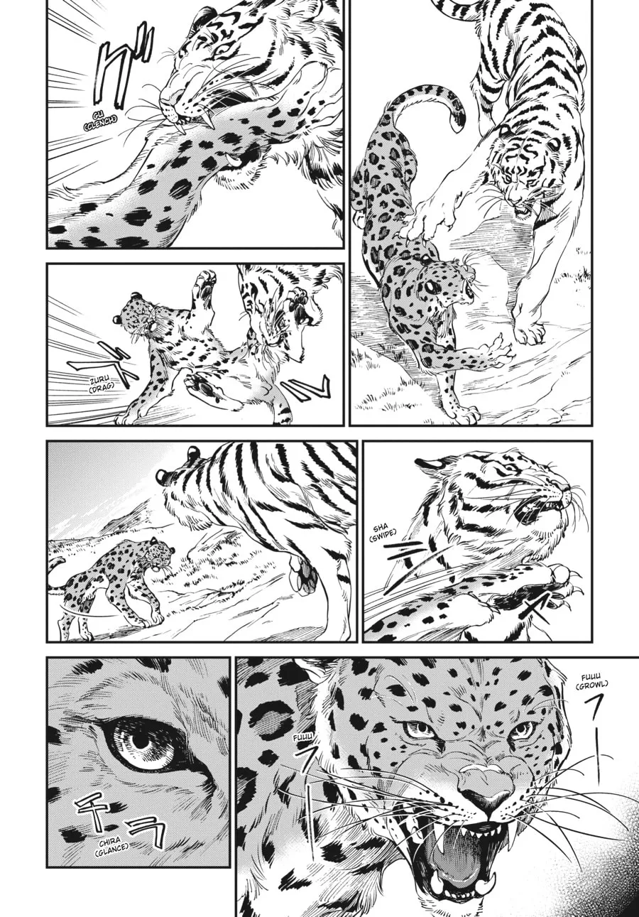 The Tiger Won