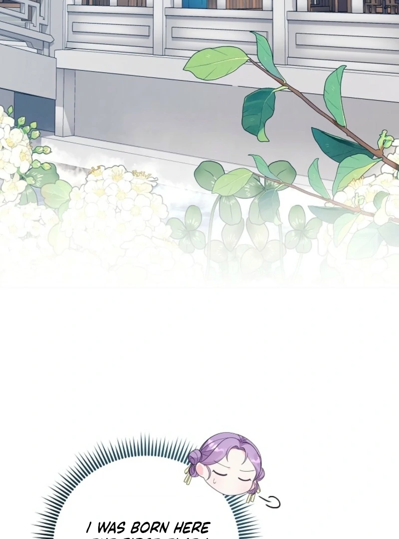 The Time-limited Baby Doctor Doesn’t Hide Her Smarts Chapter 1.2 page 78 - 