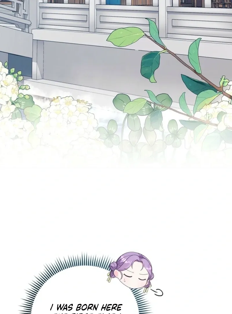 The Time-limited Baby Doctor Doesn’t Hide Her Smarts Chapter 1.3 page 78 - 