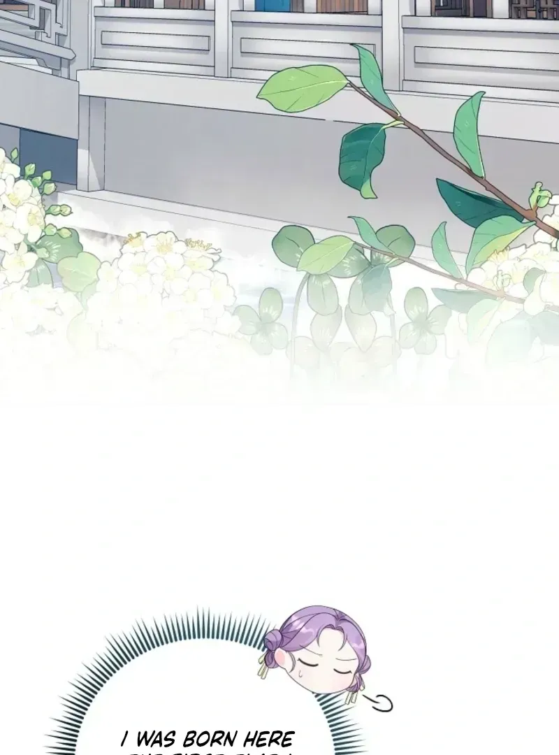 The Time-limited Baby Doctor Doesn’t Hide Her Smarts Chapter 1.4 page 78 - 