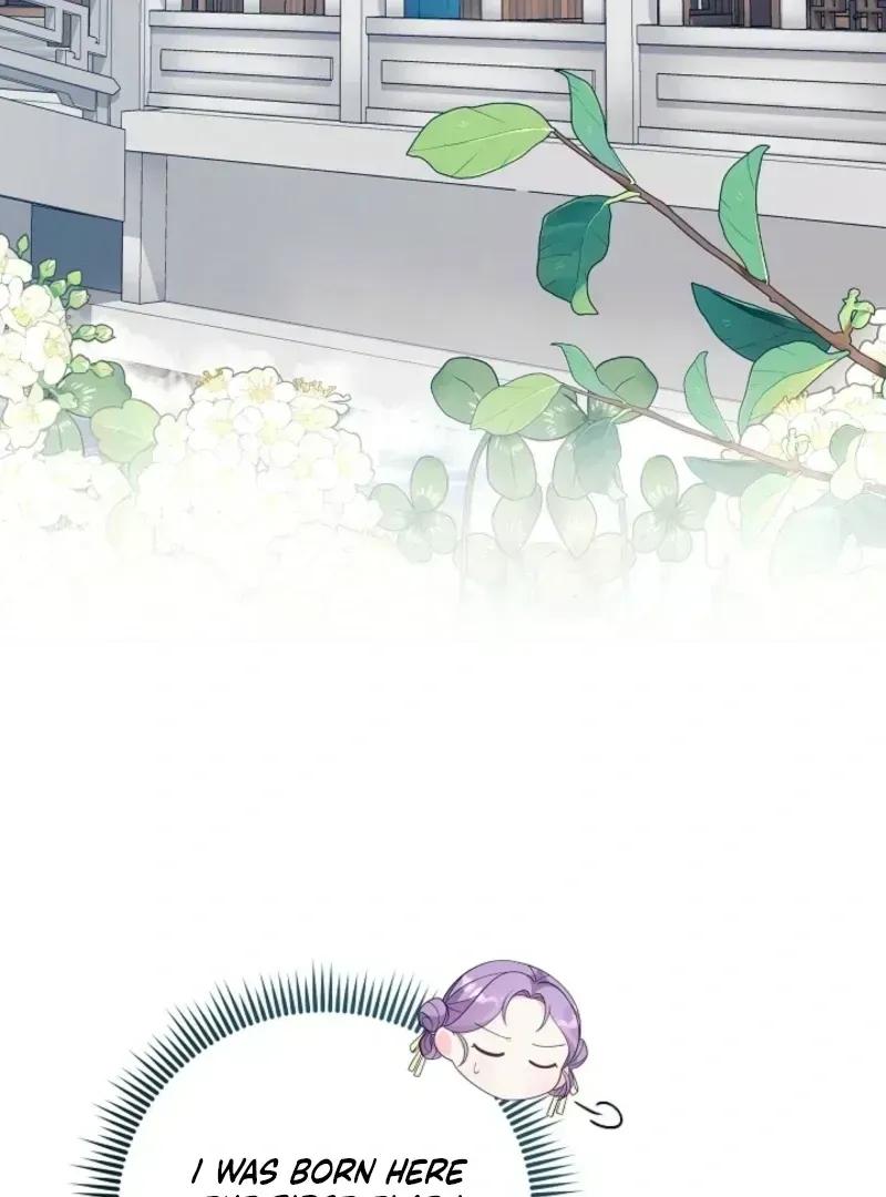 The Time-limited Baby Doctor Doesn’t Hide Her Smarts Chapter 1.5 page 78 - 