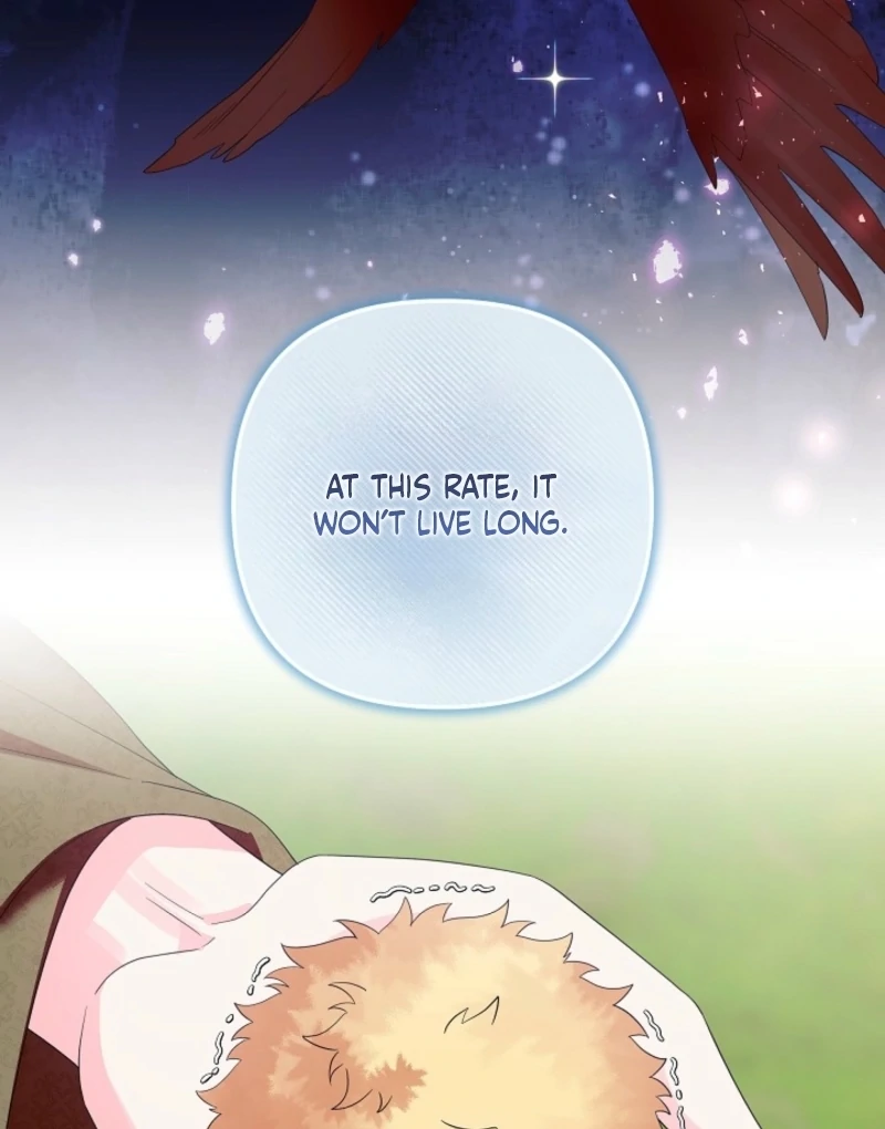 The Time-limited Baby Doctor Doesn’t Hide Her Smarts Chapter 13 page 96 - 