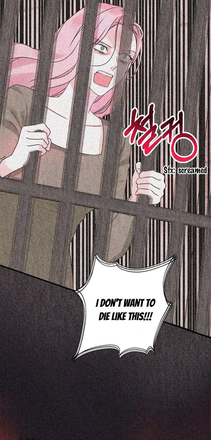 The Time-Limited Black Screen Supports My Breakup Chapter 2 page 65 - 