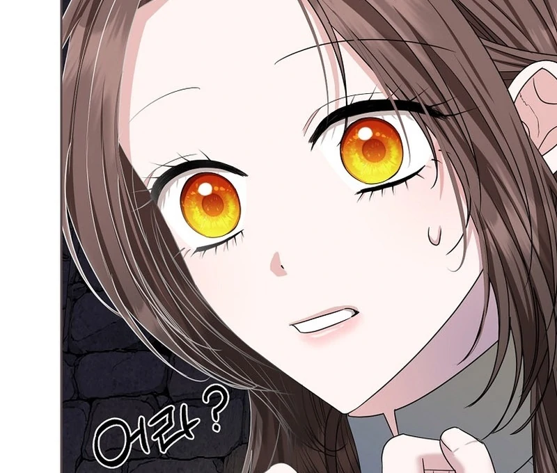 The Time-limited Extra Is Disguised as a Tutor in a Villain’s House Chapter 13 page 47 - 