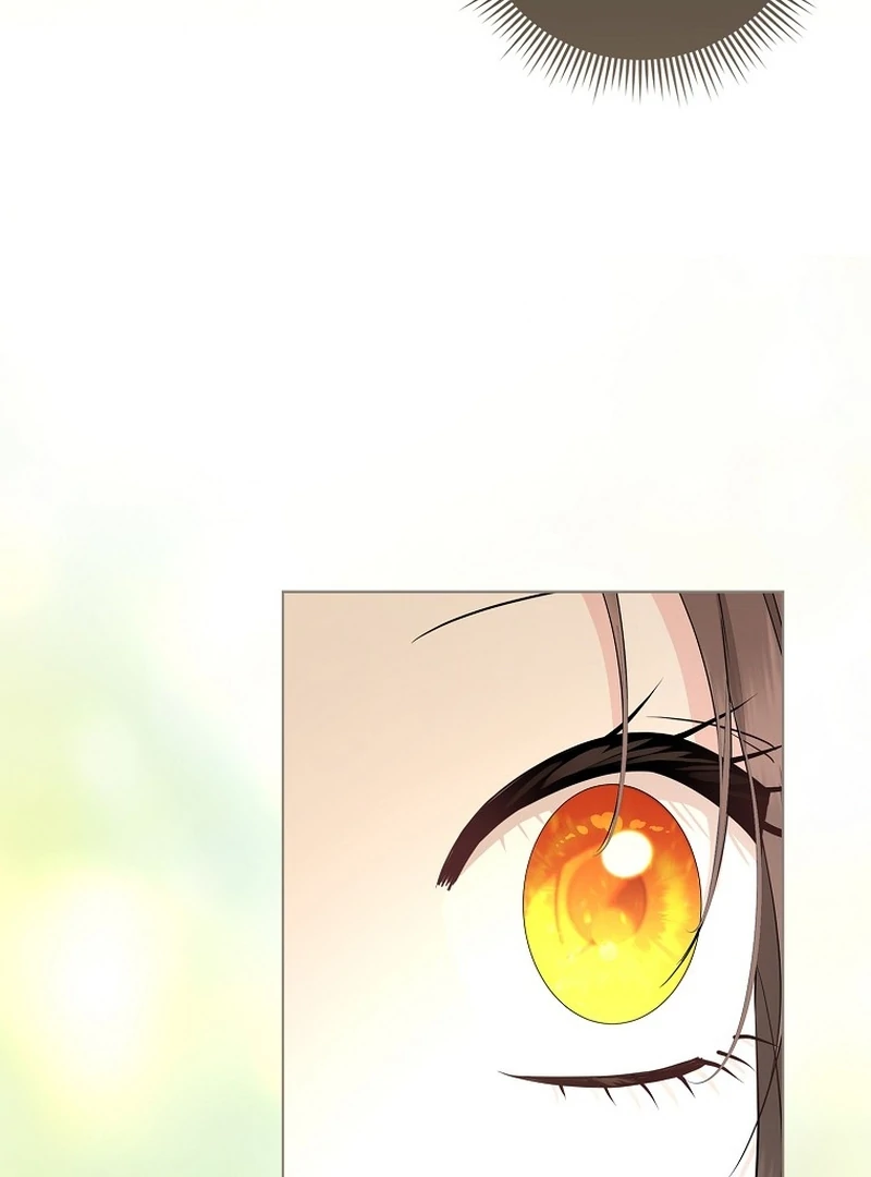 The Time-limited Extra Is Disguised as a Tutor in a Villain’s House Chapter 31 page 81 - 