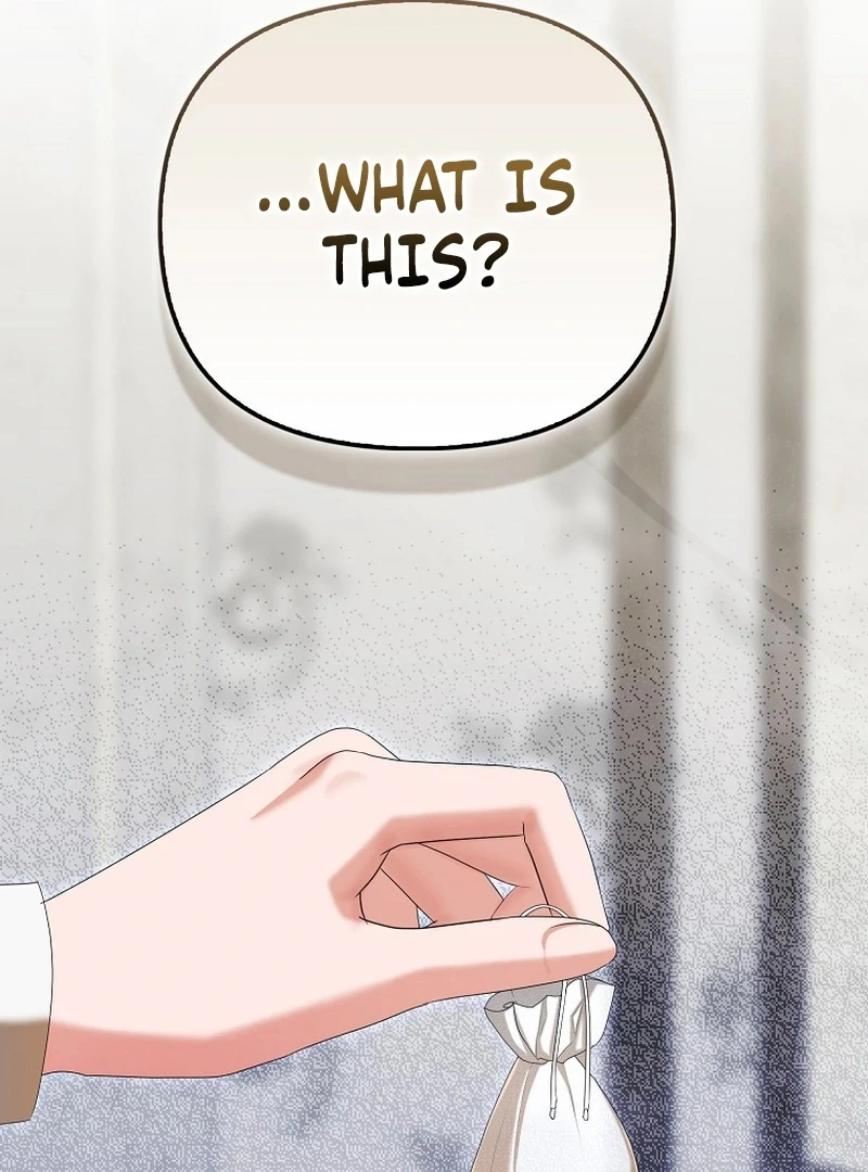 The Time-limited Extra Is Disguised as a Tutor in a Villain’s House Chapter 8 page 60 - 