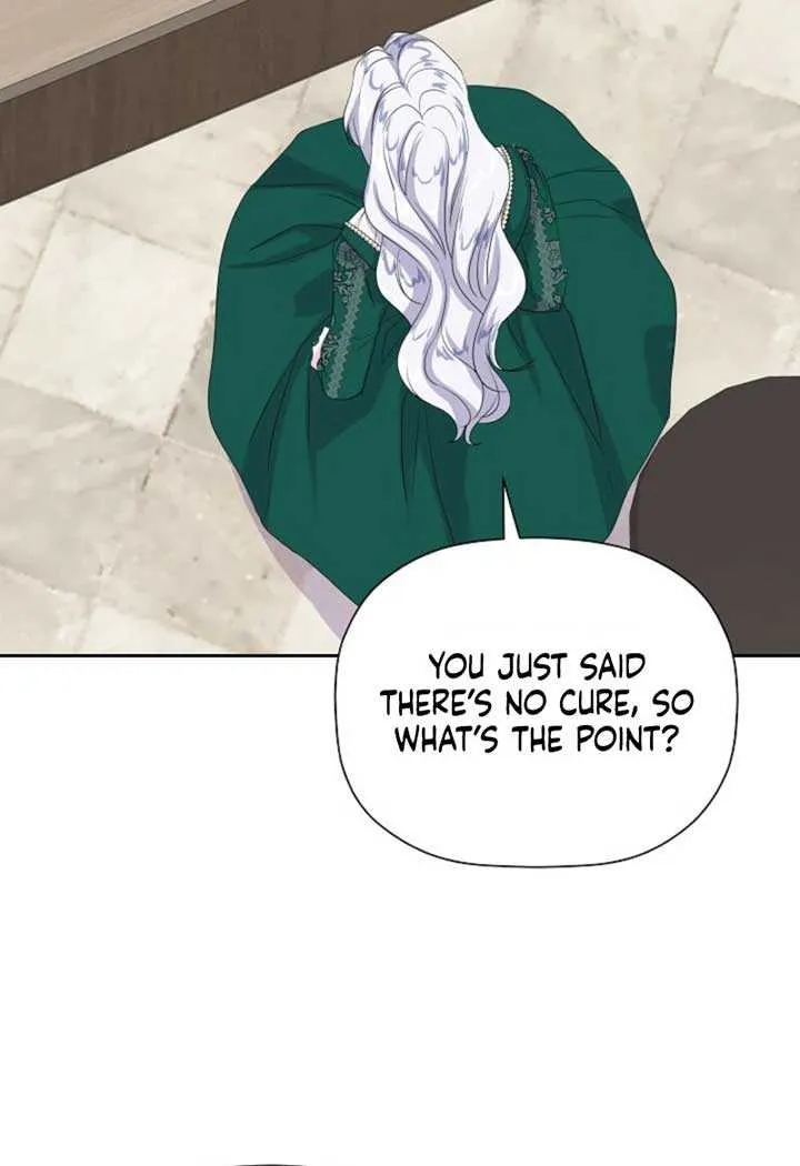 The Time-Limited Villainess Who Makes Medicine Chapter 1 page 27 - 