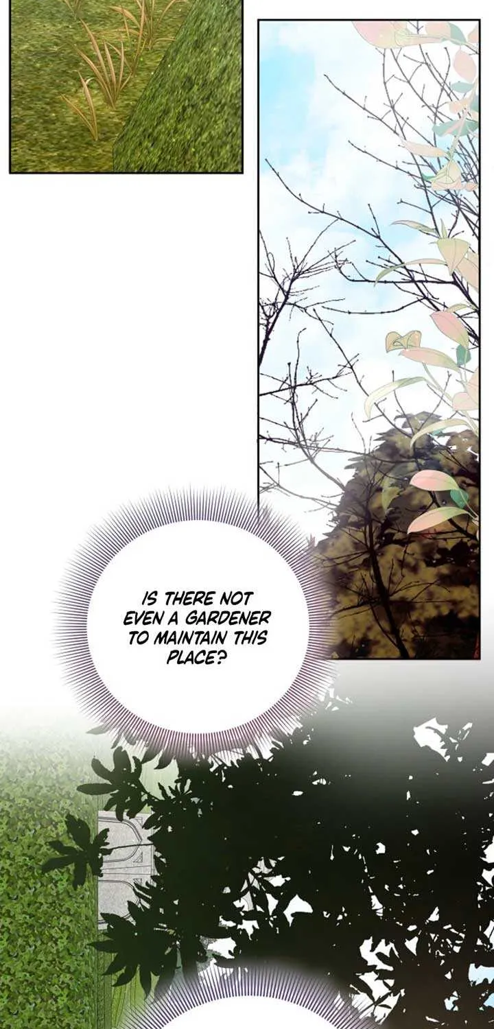 The Time-Limited Villainess Who Makes Medicine Chapter 12 page 3 - 