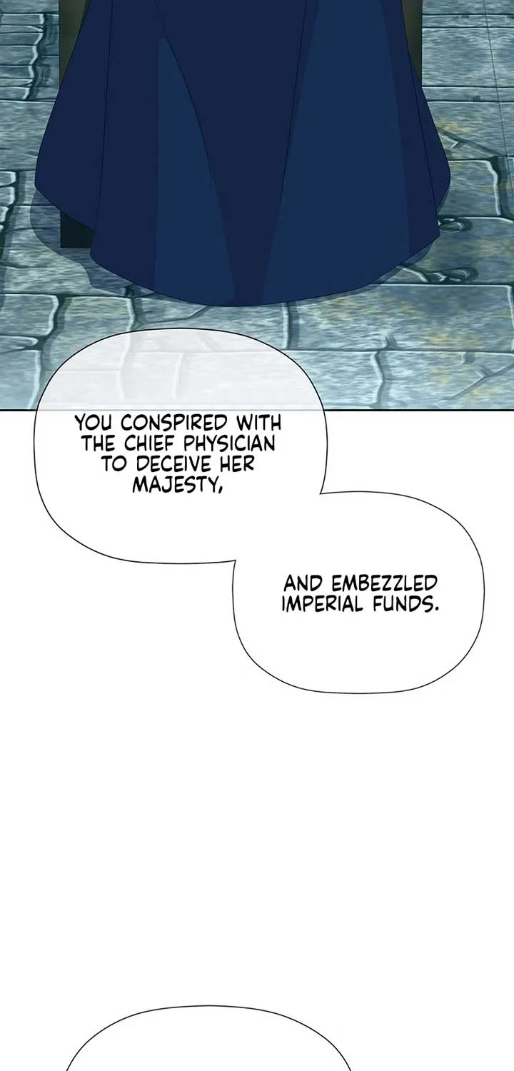 The Time-Limited Villainess Who Makes Medicine Chapter 20 page 25 - 