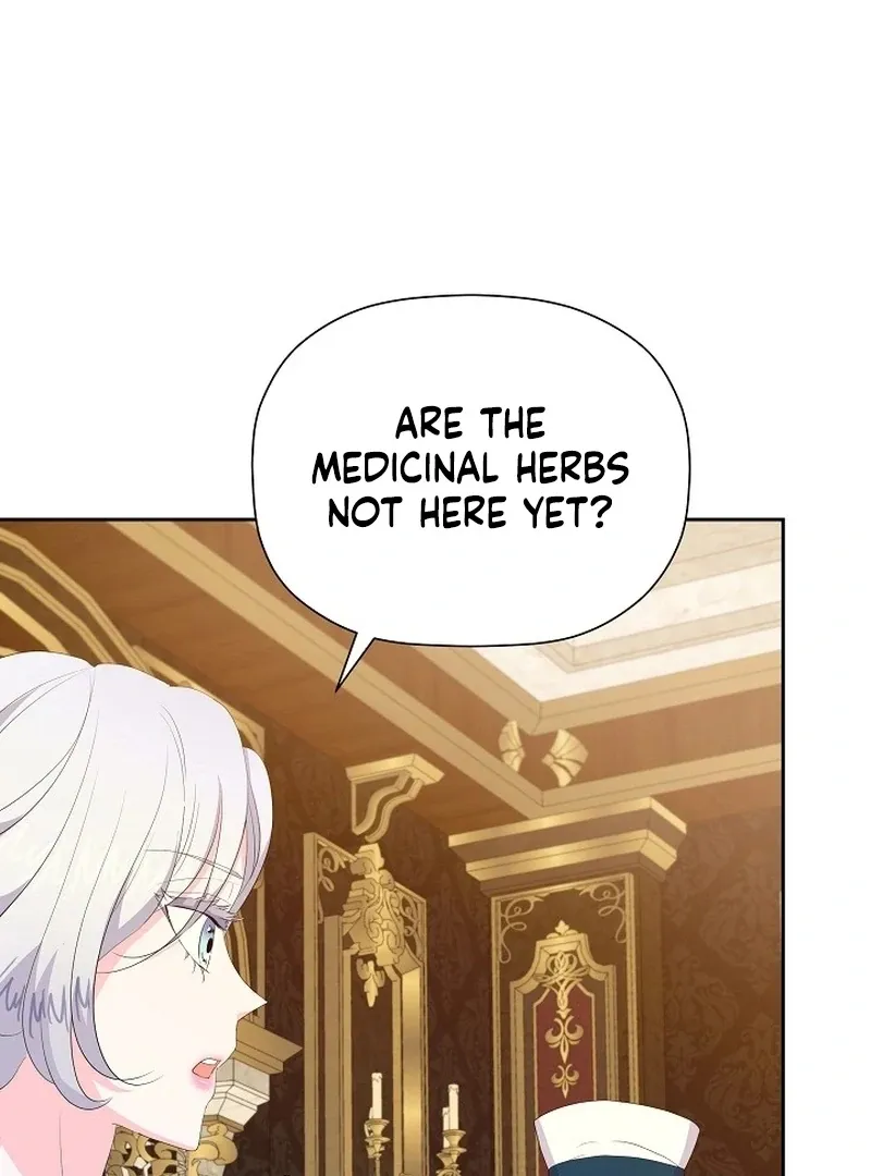 The Time-Limited Villainess Who Makes Medicine Chapter 30 page 44 - 