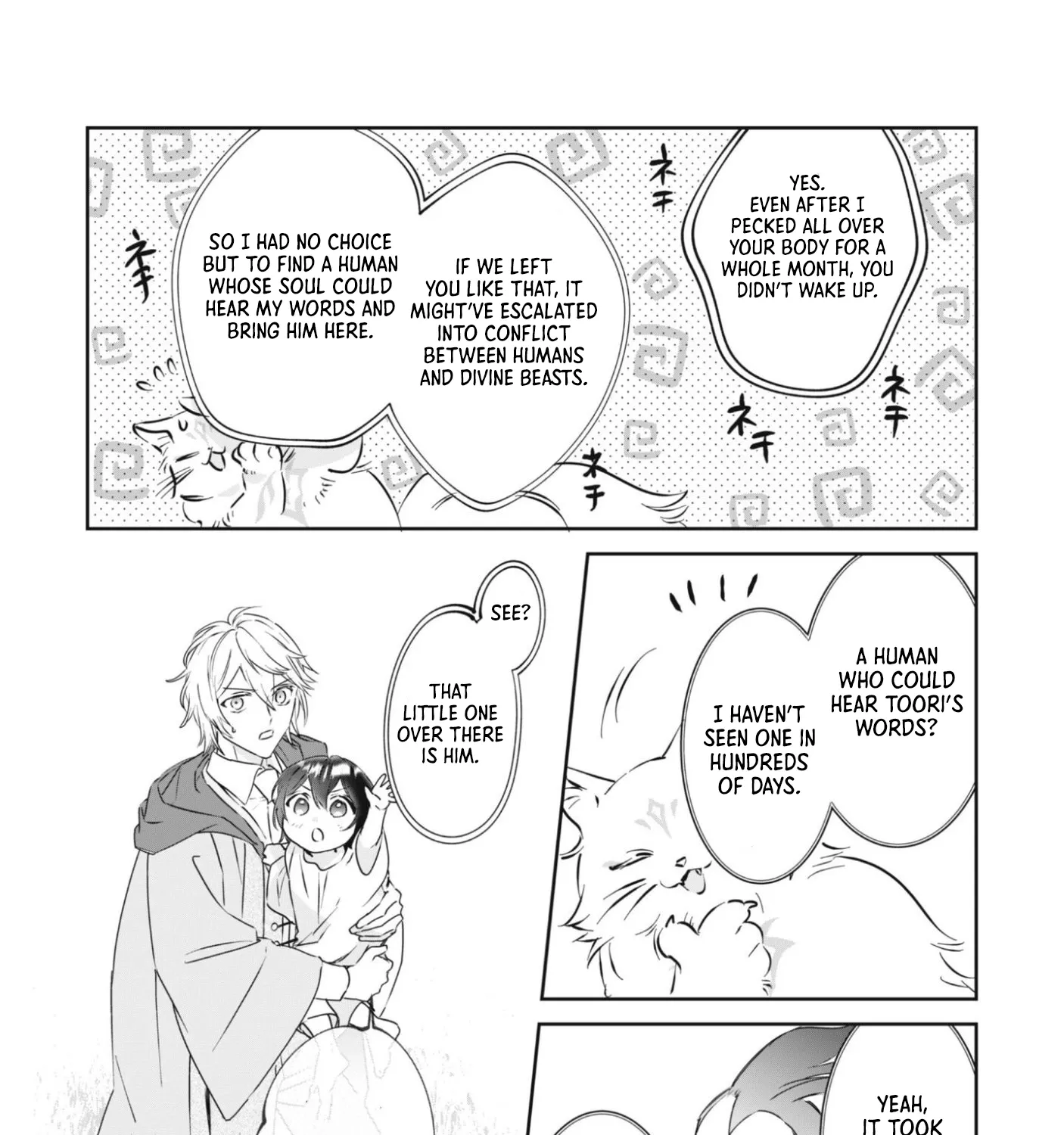 The Tiny Reincarnator