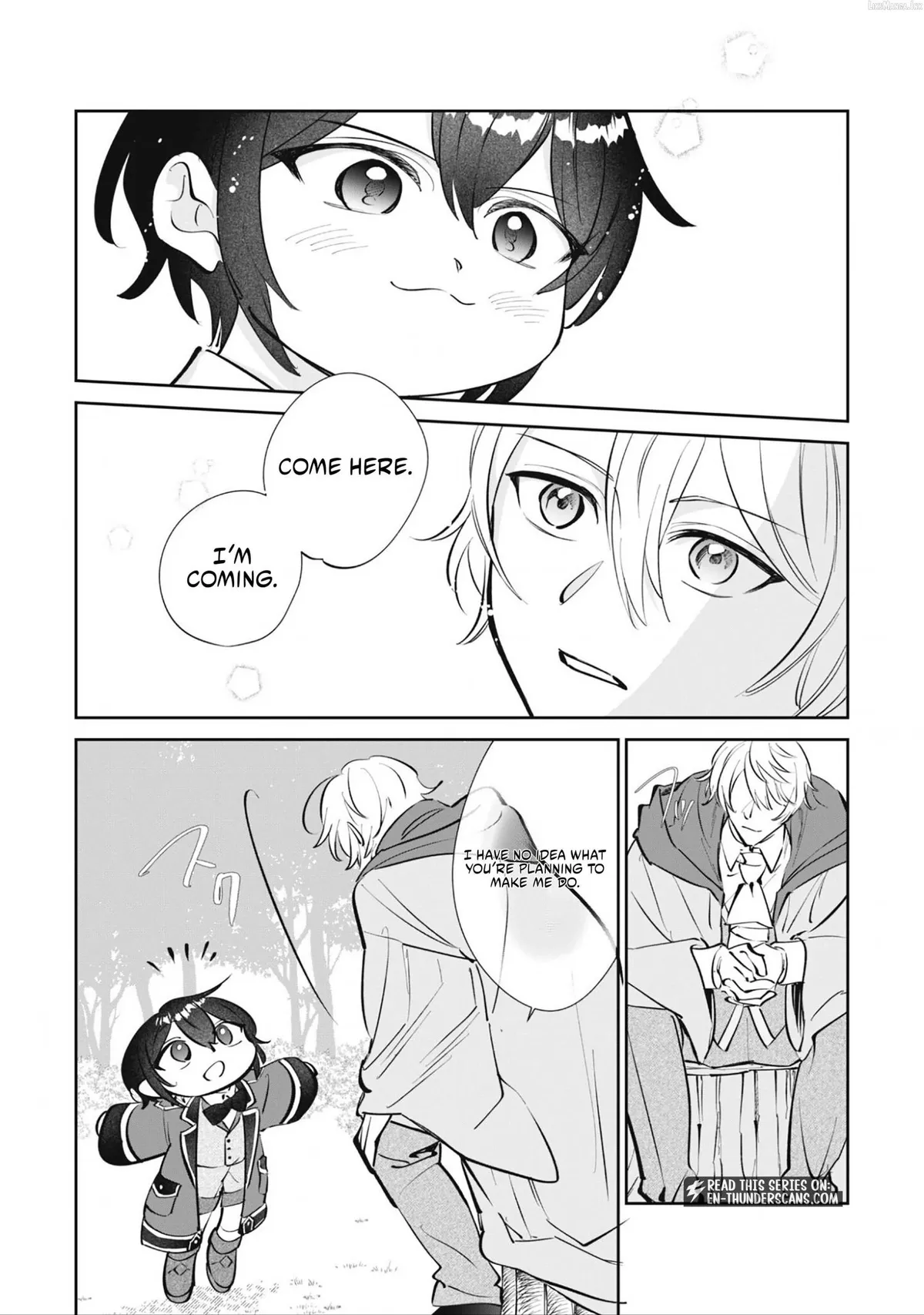 The Tiny Reincarnator