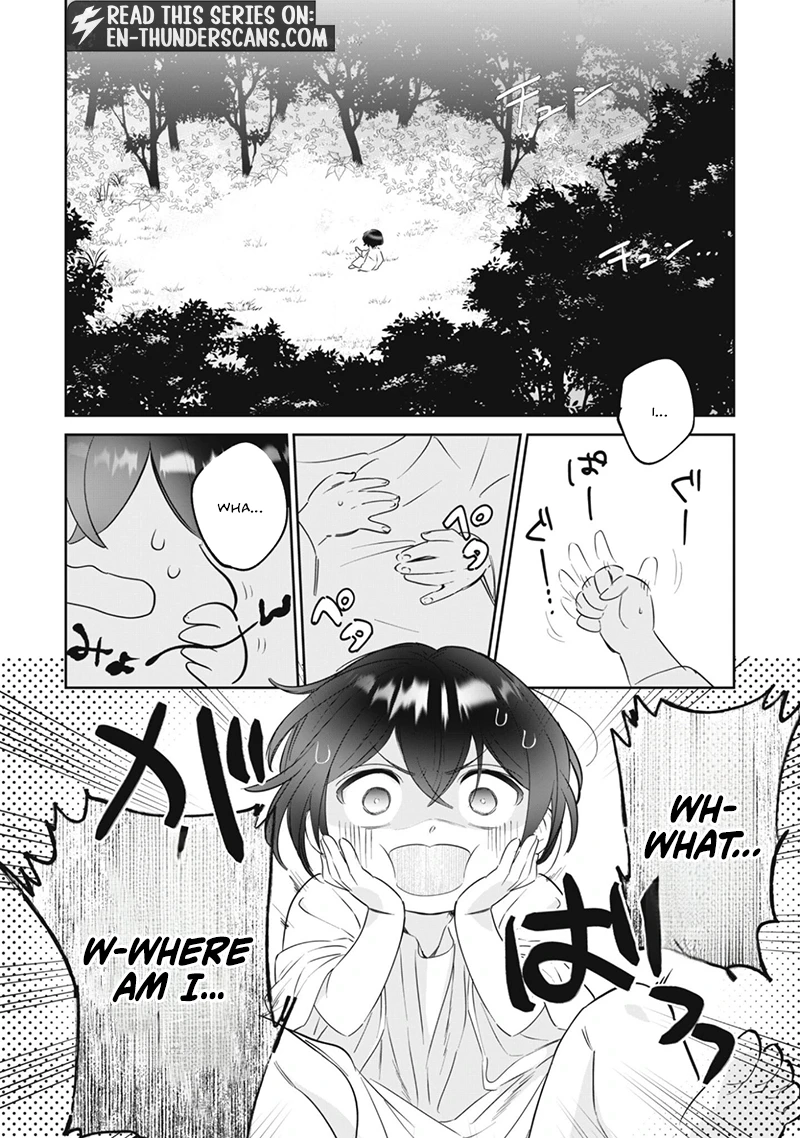 The Tiny Reincarnator