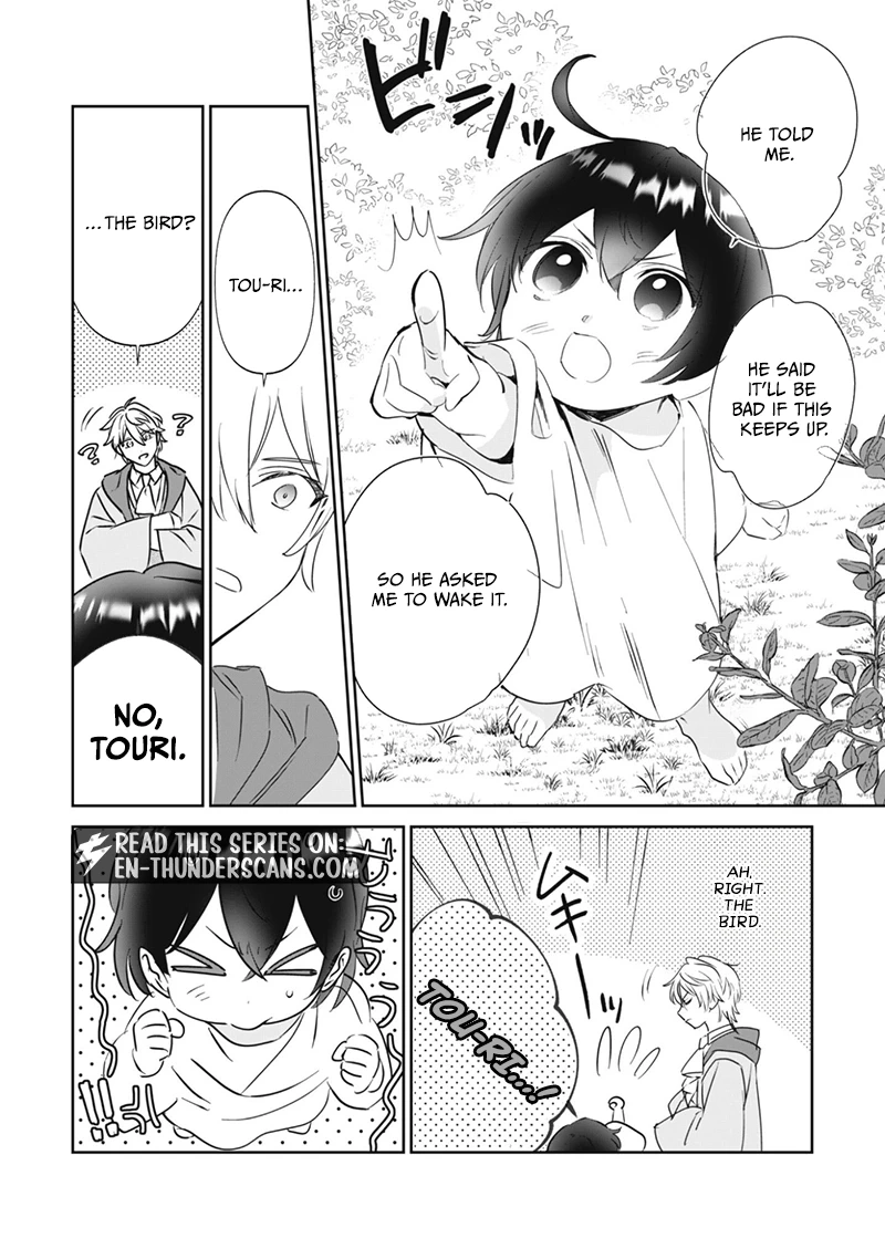 The Tiny Reincarnator