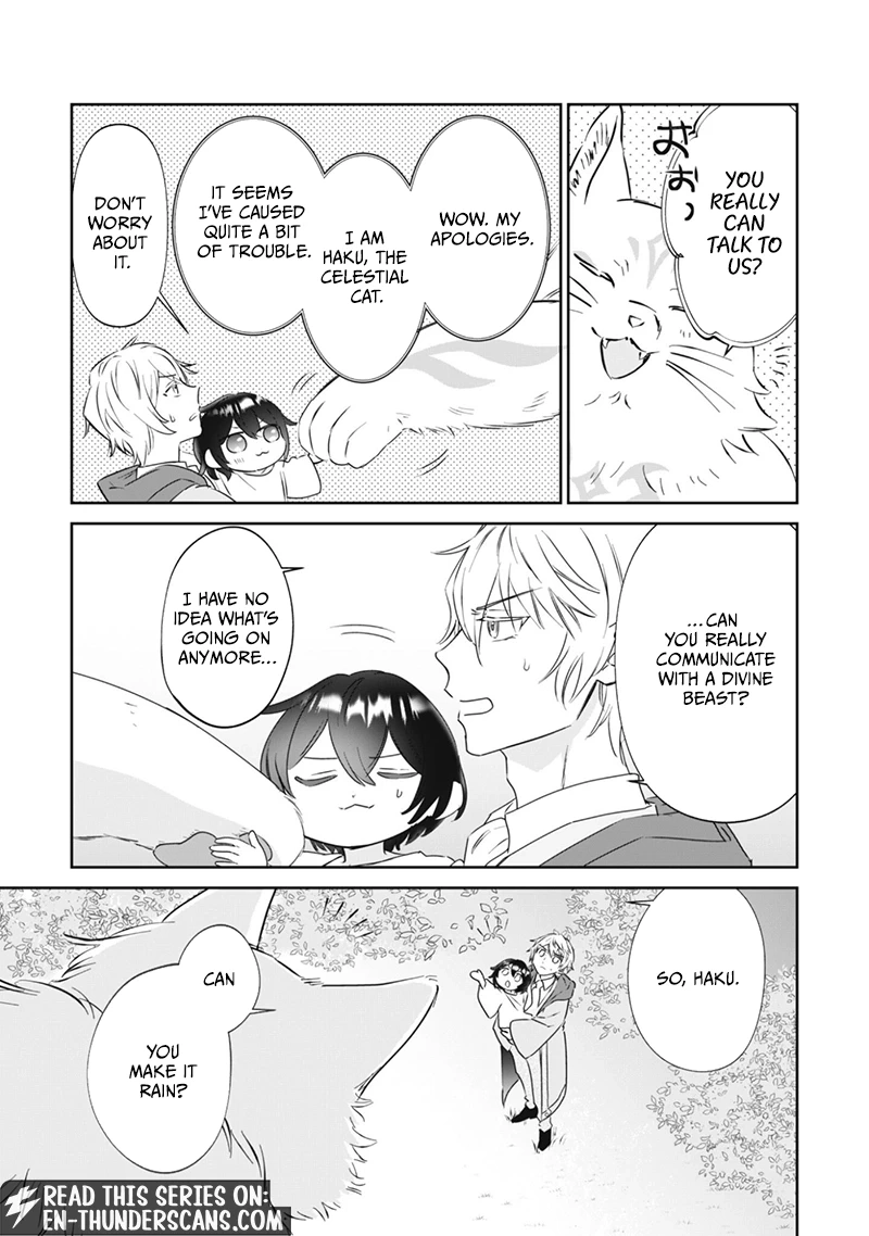 The Tiny Reincarnator