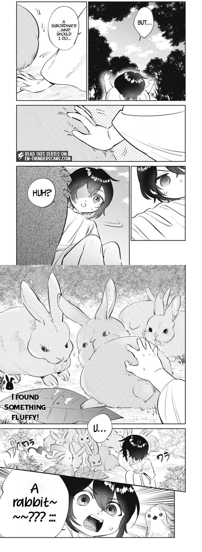 The Tiny Reincarnator