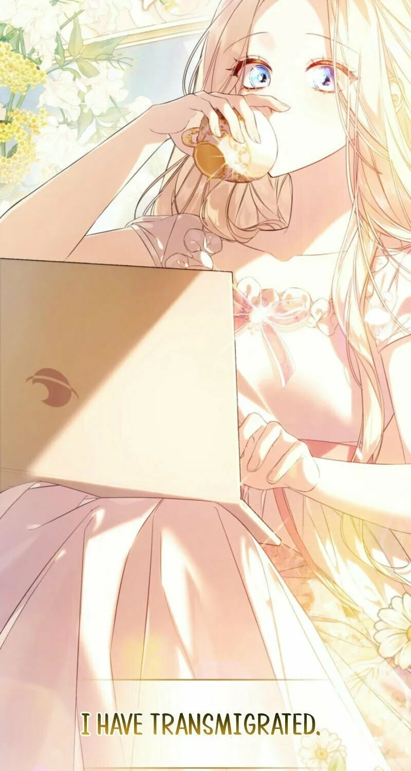 The Top 100 Young Lady Chapter 0 page 5 - 