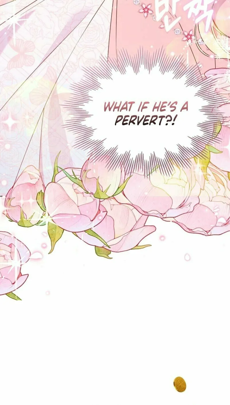 The Top 100 Young Lady Chapter 1 page 65 - 