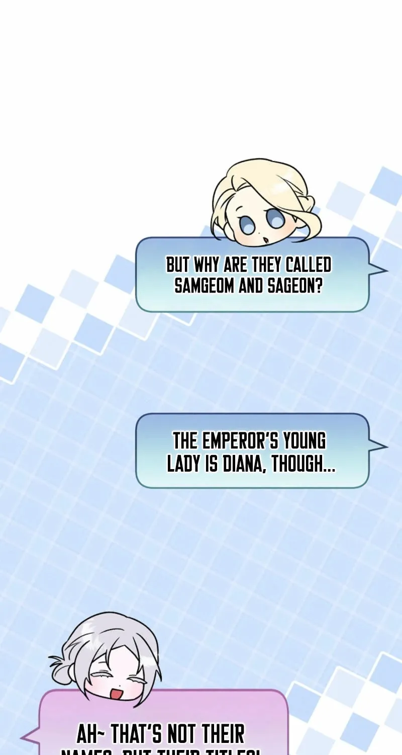 The Top 100 Young Lady Chapter 20 page 24 - 
