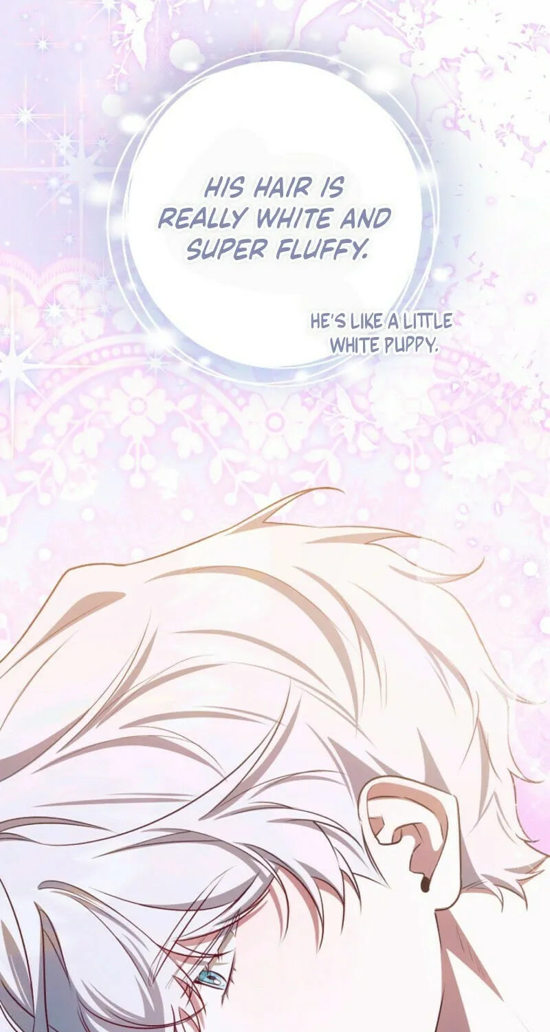 The Top 100 Young Lady Chapter 27 page 49 - 
