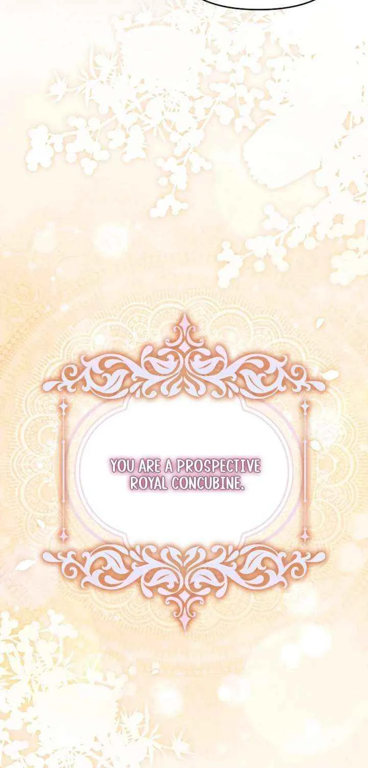 The Top 100 Young Lady Chapter 39 page 7 - 