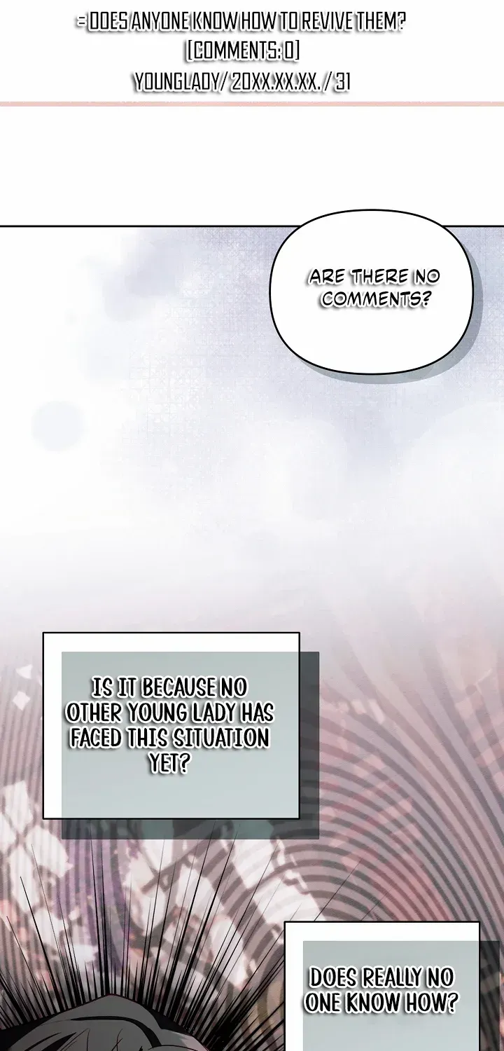 The Top 100 Young Lady Chapter 41 page 46 - 