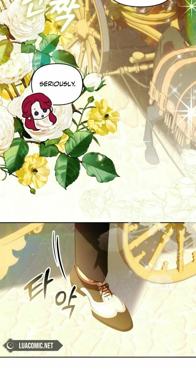 The Top 100 Young Lady Chapter 5 page 64 - 