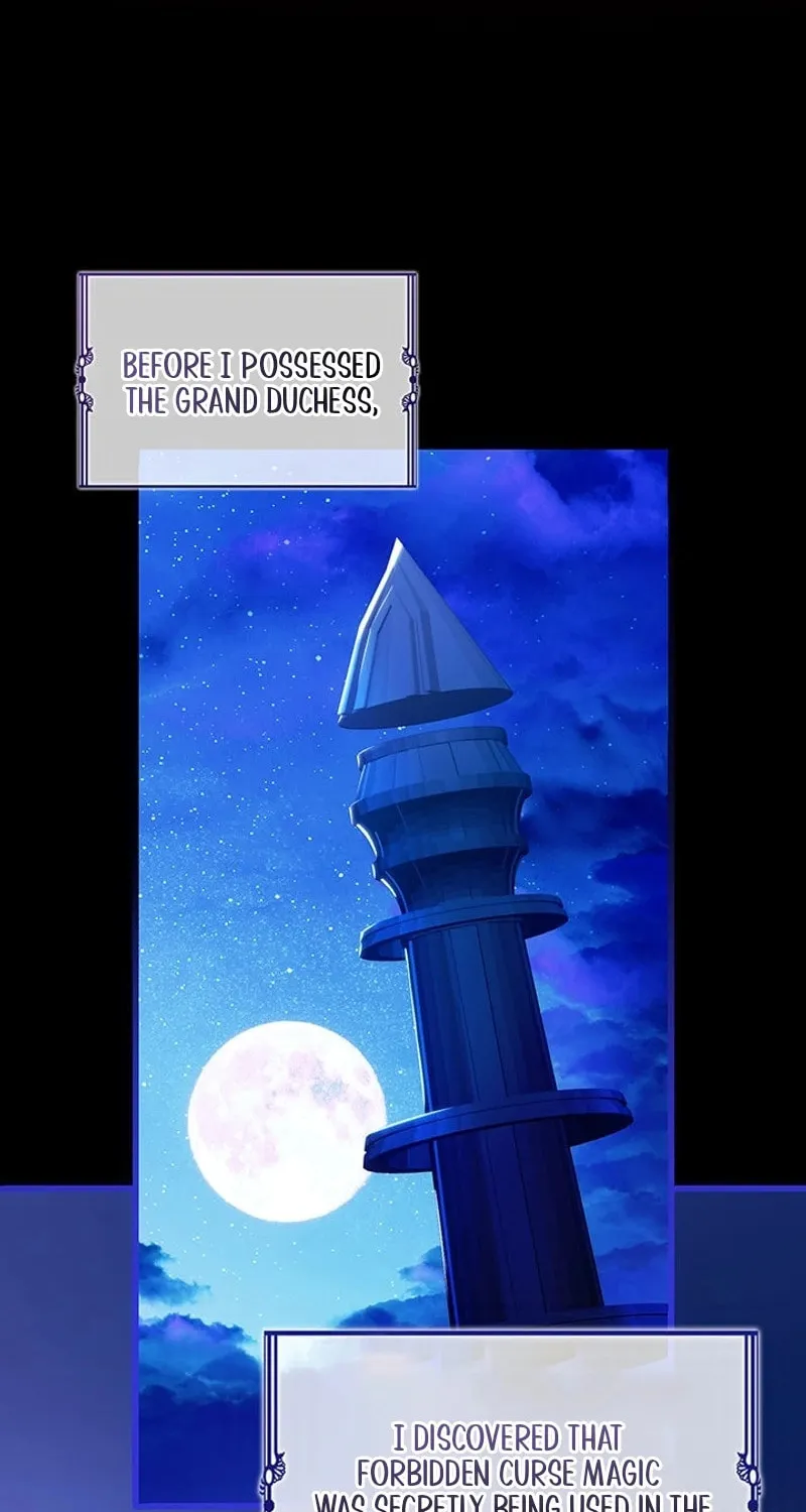 The Tower Master Who Became the Grand Duchess Chapter 33 page 24 - 