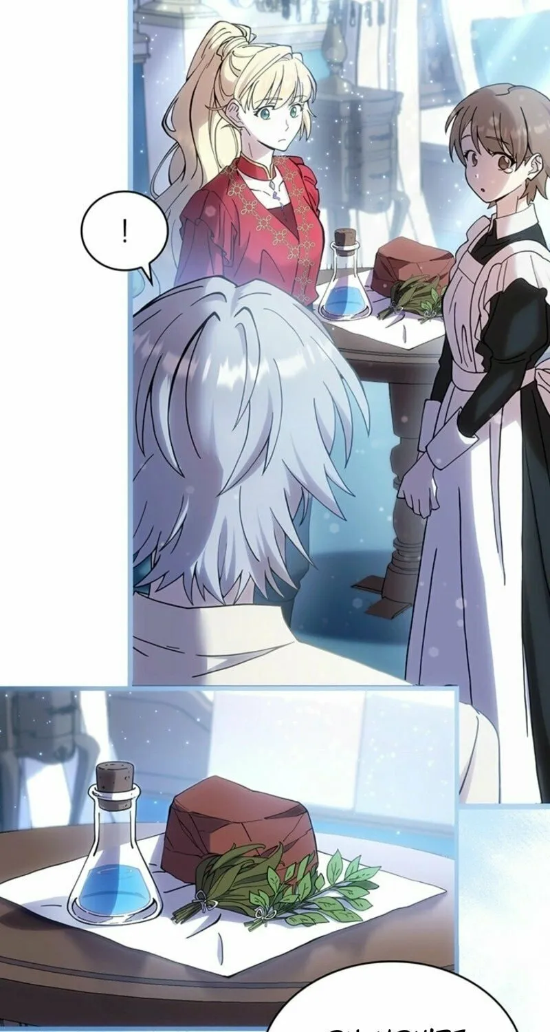 The Tower Master Who Became the Grand Duchess Chapter 40 page 29 - 