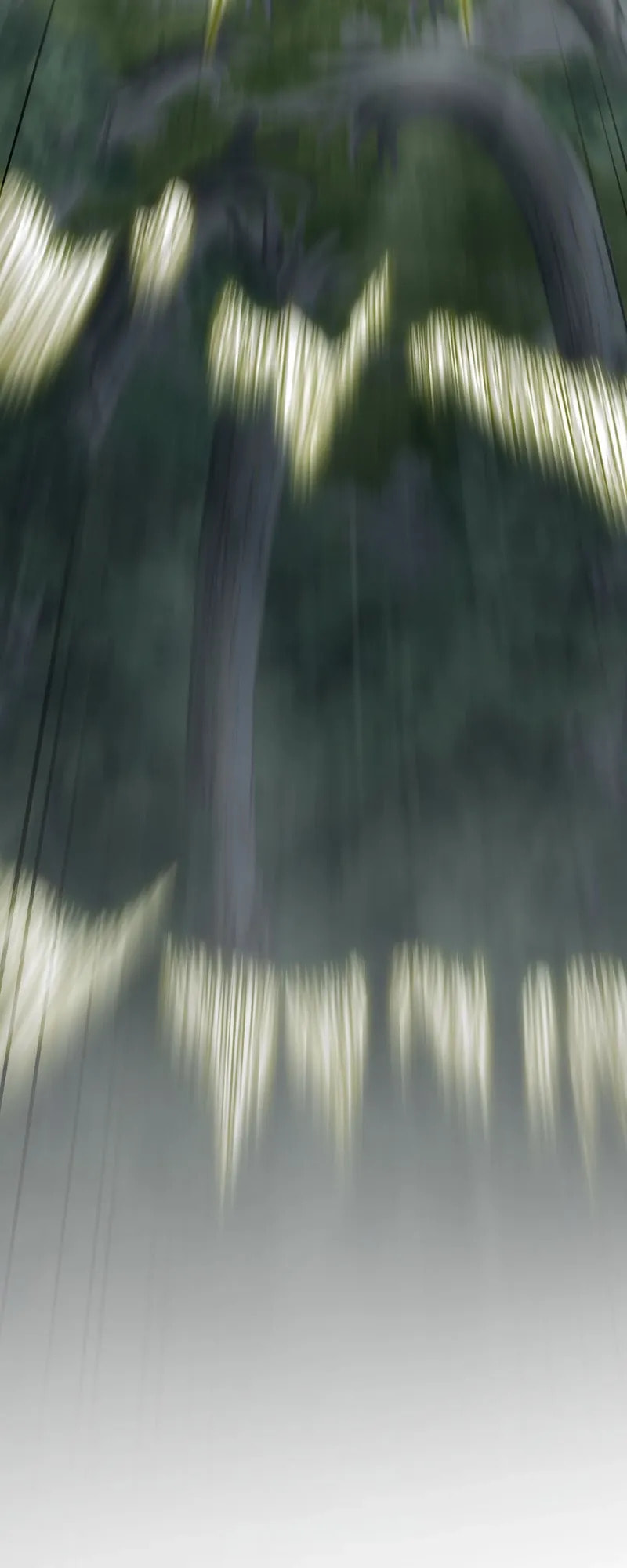 The Transcendent Holy Swordsman Regresses as the Youngest Son of a Magic Swordsman Family Chapter 5 page 79 - 