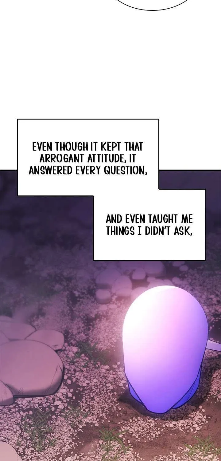 The Tutorial Is Too Hard Chapter 243 page 46 - 